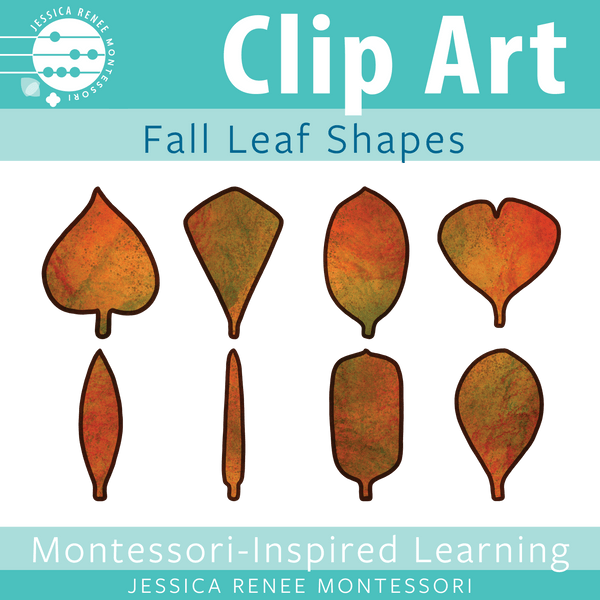 JRMontessori cover image for autumn leaf shape clip art freebie